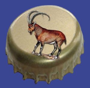 photo_2024-10-02_00-53-10-removebg-preview-300x292